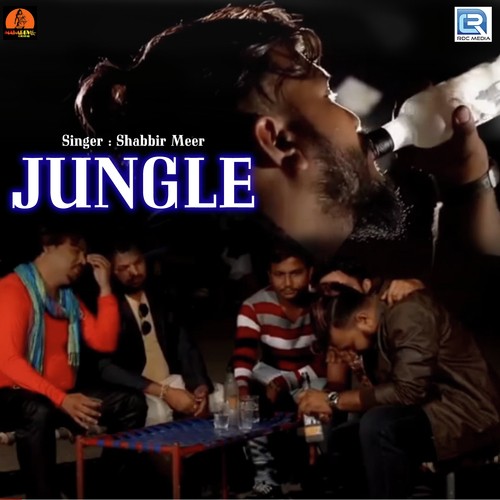 Shabbir Meer Songs MP3 Download